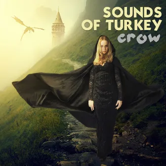 Sounds Of Turkey by CROW