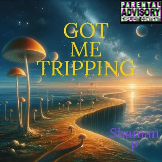 GOT ME TRIPPING by Shaman P