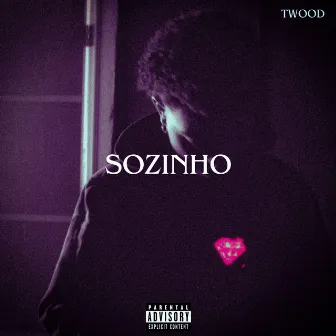 Sozinho (Speed Up) by Twood