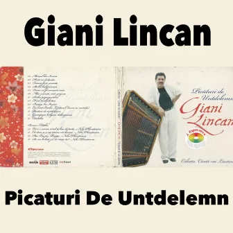 Picaturi De Untdelemn by Giani Lincan