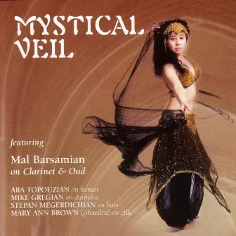 Mystical Veil by Mal Barsamian