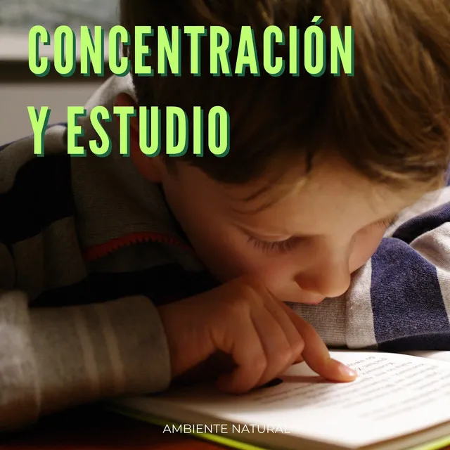 Concentración Y Estudio: Ambiente Natural