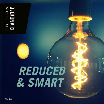 Reduced & Smart by Daniel Elias Brenner