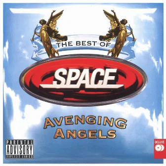 Avenging Angels: The Best of Space by Space