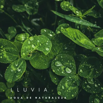 Lluvia: Agua De Naturaleza by Ruído De Colores Para Bebes