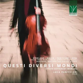 Questi Diversi Mondi by Luca Panicciari