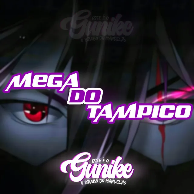 MEGA DO TAMPICO