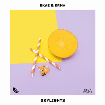 Skylights by KRMA