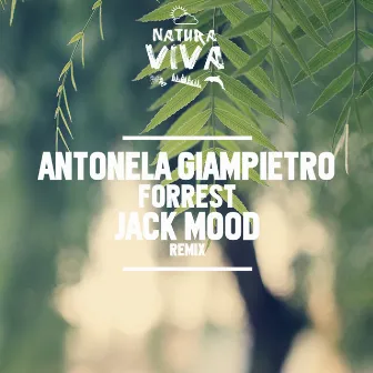 Forrest by Antonela Giampietro