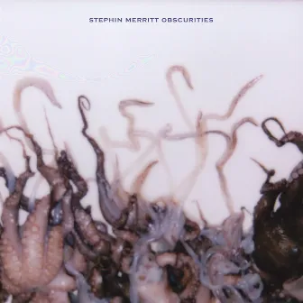 Obscurities by Stephin Merritt