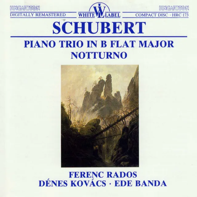 Piano Trio No. 1 in B-Flat Major, Op. 99, D. 898: II. Andante un poco mosso