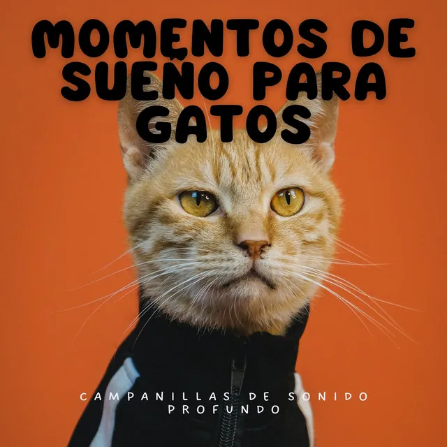 Momentos De Sueño Para Gatos: Campanillas De Sonido Profundo