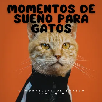 Momentos De Sueño Para Gatos: Campanillas De Sonido Profundo by Música calmante para gatos