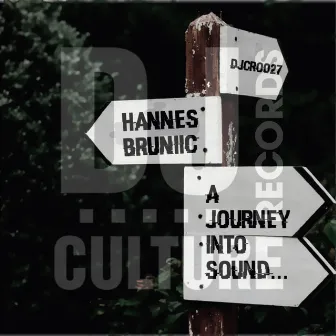 A Journey into Sound by Hannes Bruniic