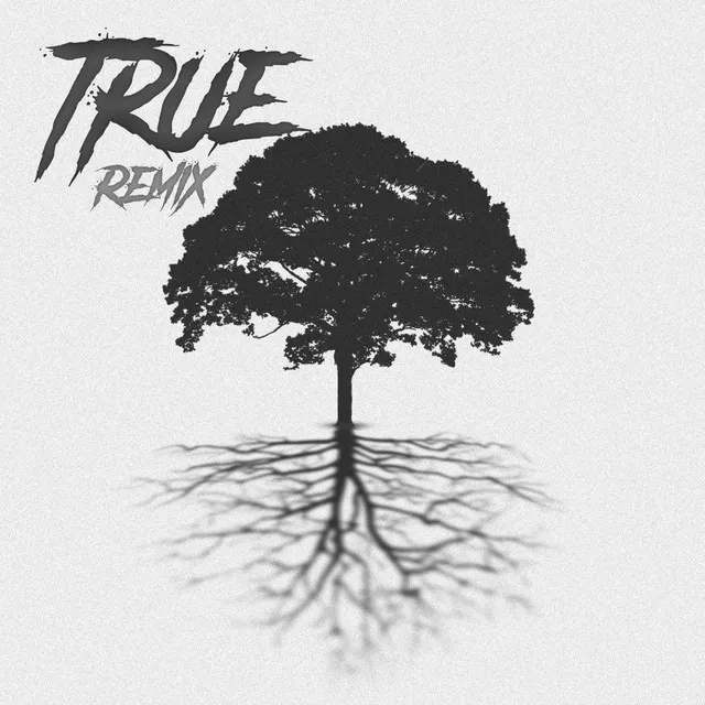 True - Remix