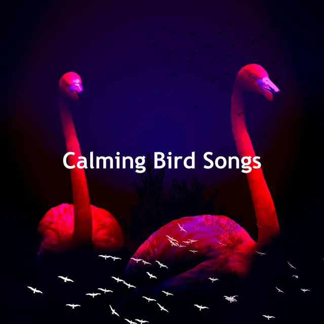 Calming Bird Songs