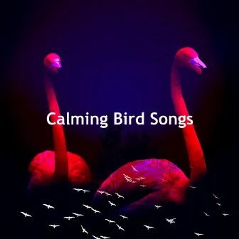 Calming Bird Songs by Beatrice Birds