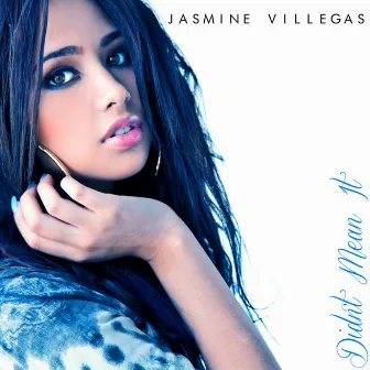 Didn't Mean It by Jasmine V