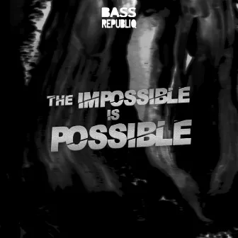 The Impossible Is Possible by Bass Republiq