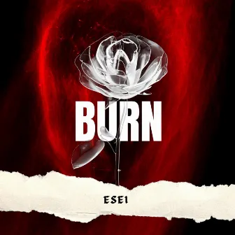 Burn by Esei