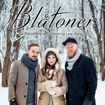 Blåtoner by Lewi Bergrud