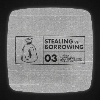 Stealing vs. Borrowing by ECHO FINCH