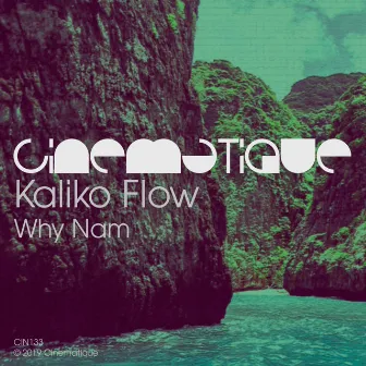 Why Nam by Kaliko Flow