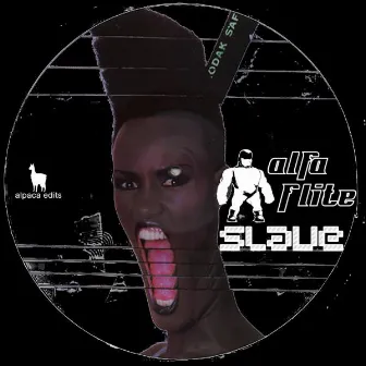 Slave (Original Mix) by Alfa Flite