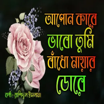 Apon Kare Vabo Tumi Badho Mayar Dore by Rashedul Islam