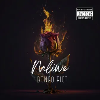 Ngaliwe by Bongo Riot