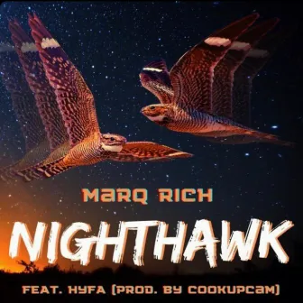 Night Hawk by MarqRich