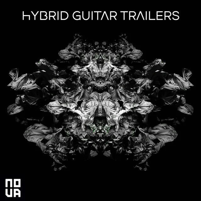 Hybrid Guitar Trailers