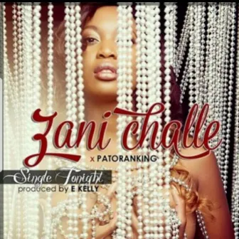 Single Tonight by Zani Challe