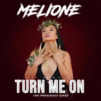 Turn Me On by Melione