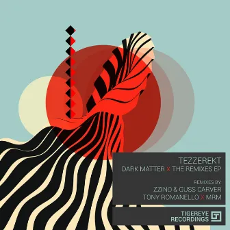 Dark Matter | The Remixes EP by Tezzerekt