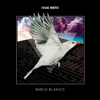 Mirlo Blanco by Iván Nieto