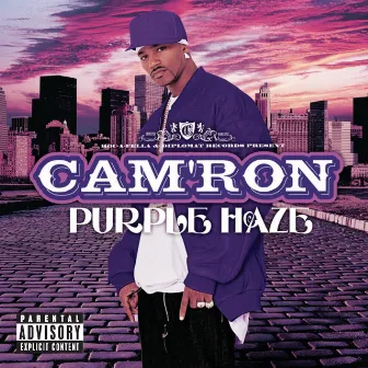 Purple Haze by Cam'ron