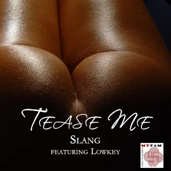 Tease Me (feat. Lowkey) by Slang