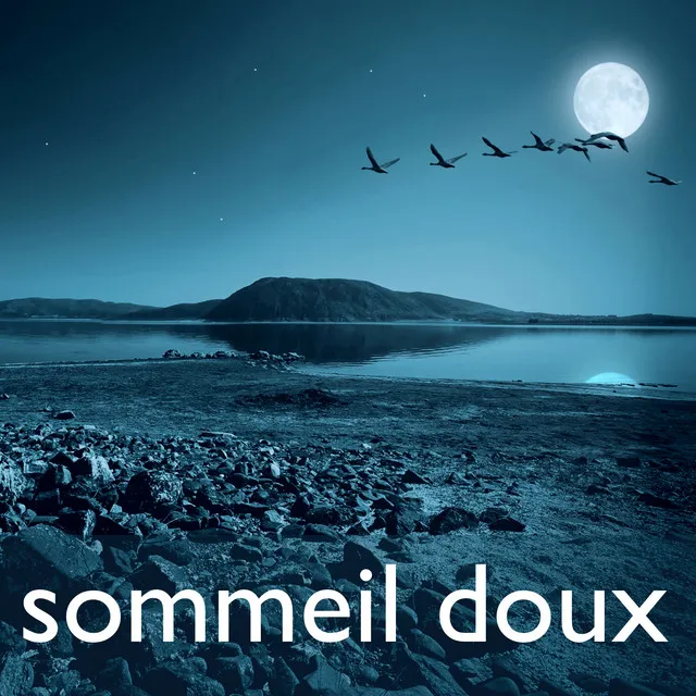 Le Sommeil Doux - Musique pour les Rêves Doux et Berceuses pour Bébé, Musicothérapie et lemède Naturel de Sommeil pour le Sommeil Profond, le Soulagement de le Stress et d'Inquiétude