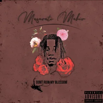 Don't Ruin My Blossom by Maserati Mehir