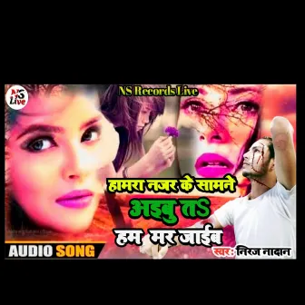 Najar Ke Samne Aibu T Marjaib by Niraj Nadan