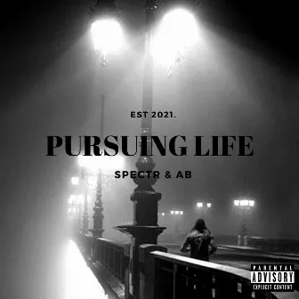 Pursuing Life by AB