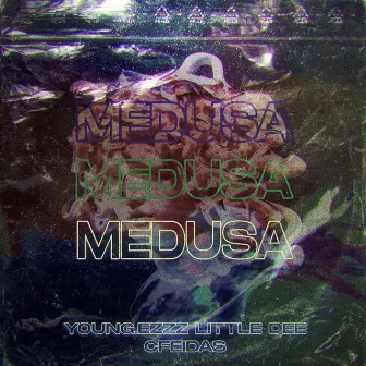 Medusa by Danny Dee