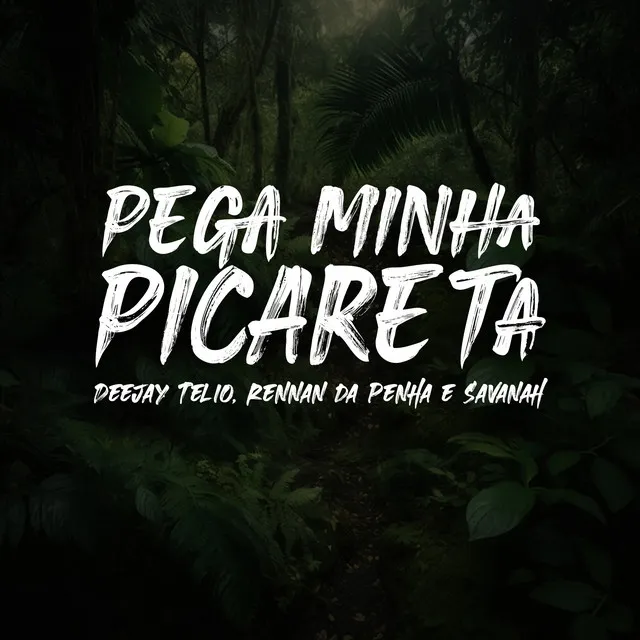 Pega Minha Picareta