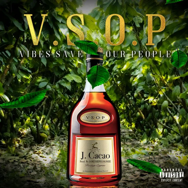 VSOP (Vibes Save Our People)