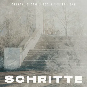 Schritte by Serious Dan