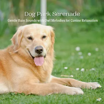 Dog Park Serenade: Gentle Rain Sounds with Owl Melodies for Canine Relaxation by Owl Sounds