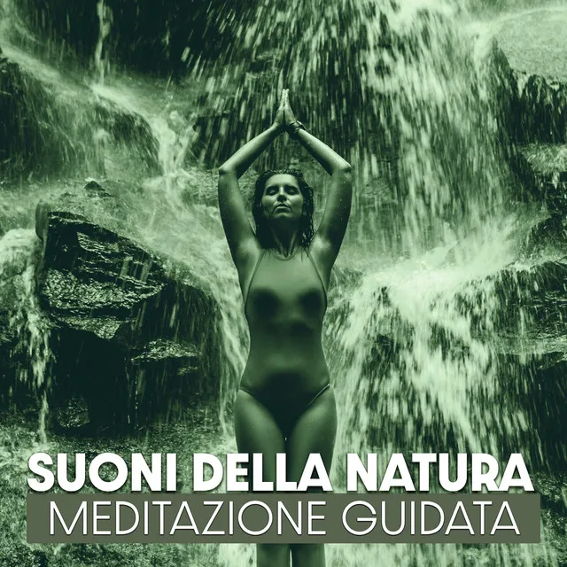 Suoni della natura: Meditazione Guidata, Mindfulness, Rilassanti per dormire, Musica curativa