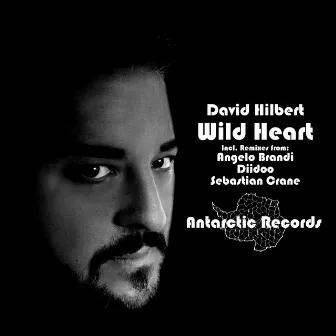 Wild Heart by David Hilbert