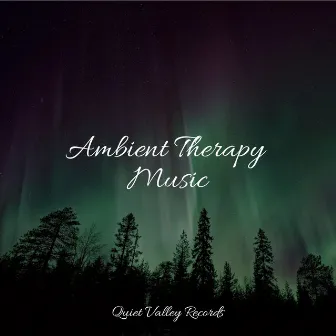 Ambient Therapy Music by Internal Yoga